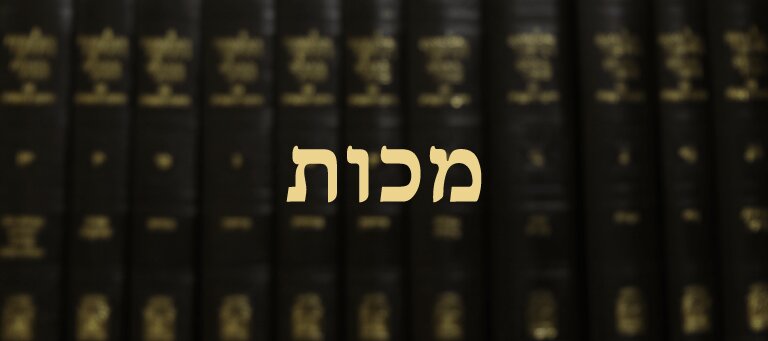 מכות